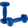 Classical Head Vinyl Dumbbell Set, Ls2001